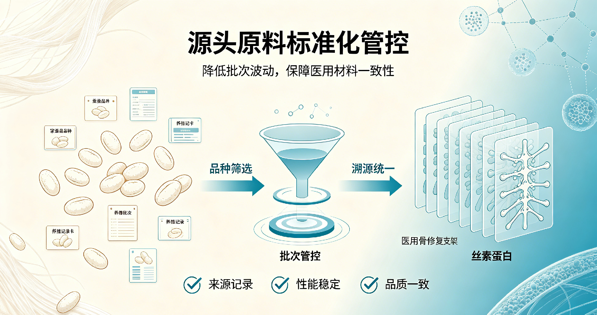 20260626-丝素蛋白宣传图片2.png