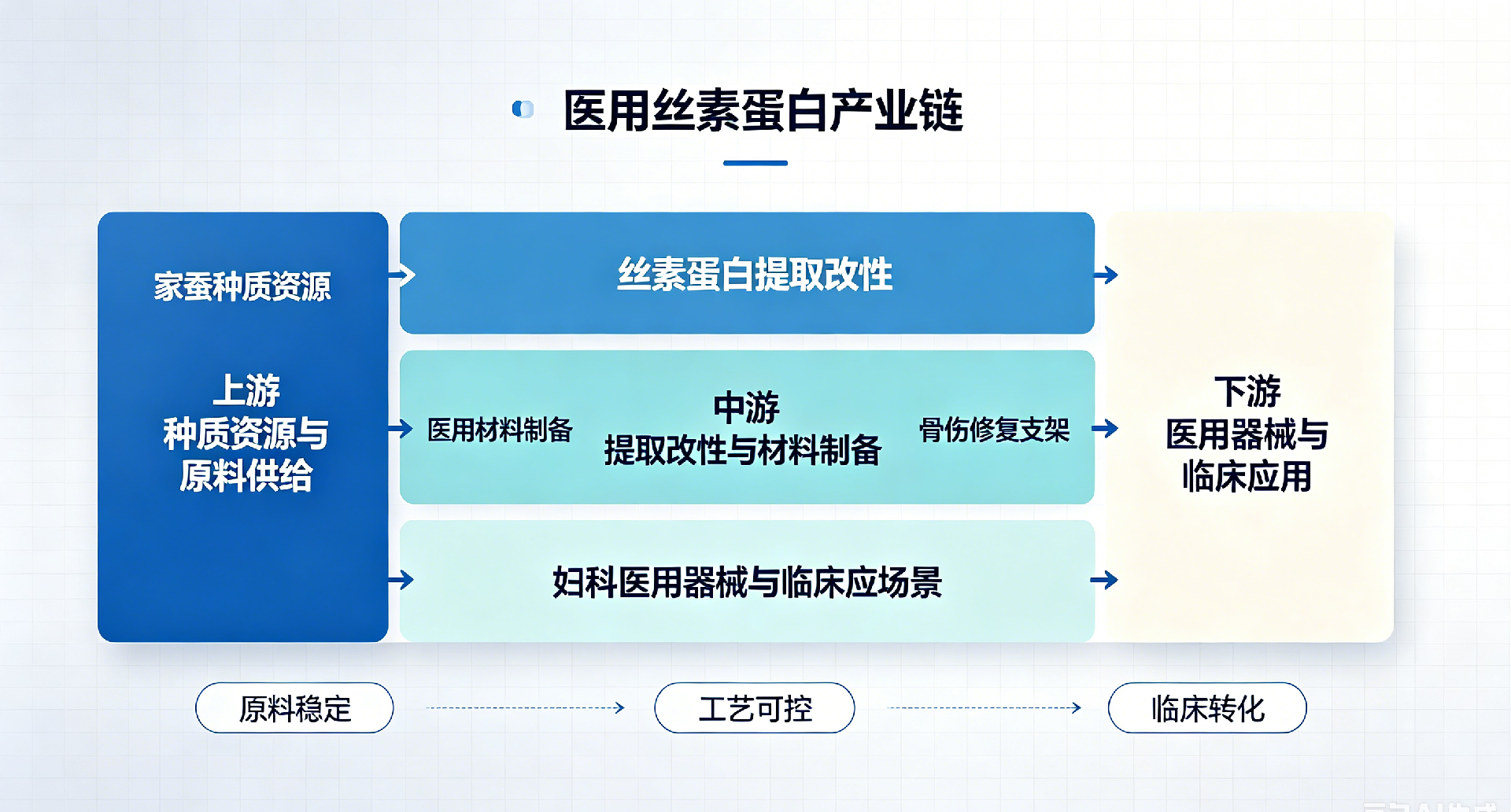 20260626-丝素蛋白宣传图片3.png
