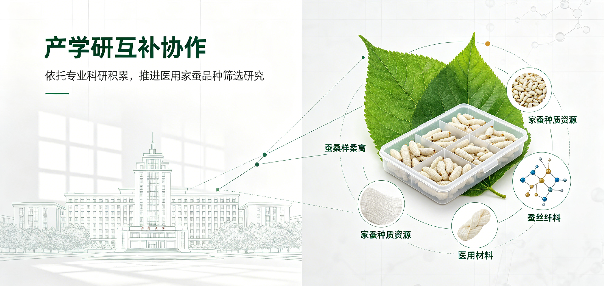 1783067693213282.png 20260702-丝素蛋白宣传图片5.png