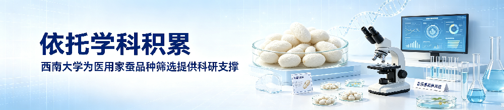 依托学科积累｜西南大学为医用家蚕品种筛选提供科研支撑